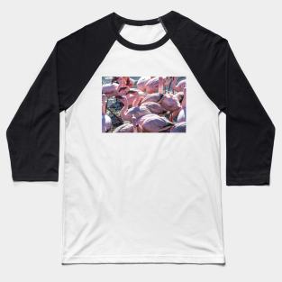 Namibia. Walvis Bay. Another Flamboyance of Flamingos. Baseball T-Shirt